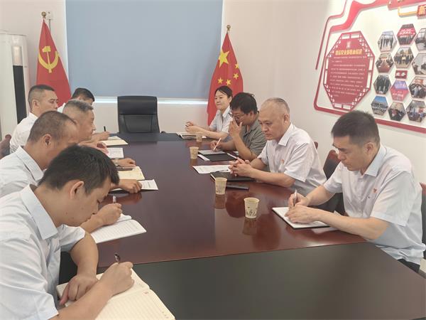 公司領(lǐng)導(dǎo)調(diào)研指導(dǎo)鼎信公司、藍盾...